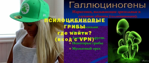spice Гусь-Хрустальный