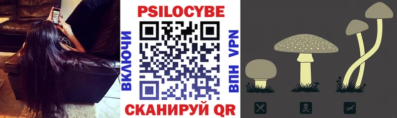 наркота  Очёр  Псилоцибиновые грибы прущие грибы 